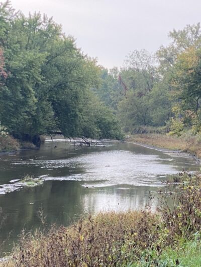 Buffalo Creek Park - Coggon, IA
