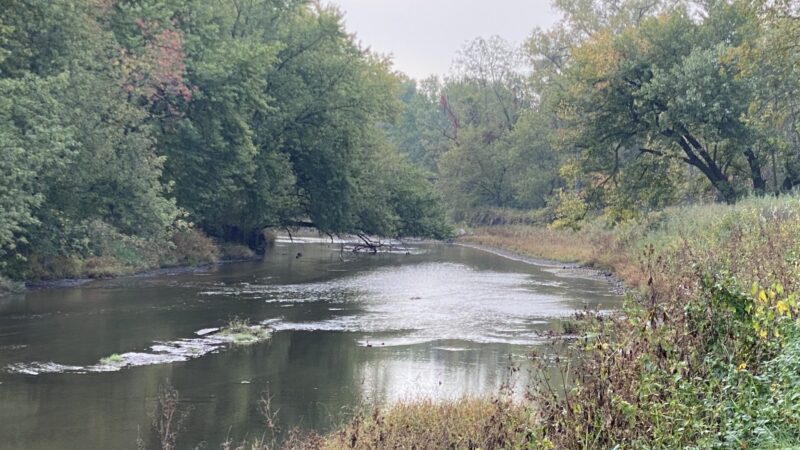 Buffalo Creek Park - Coggon, IA