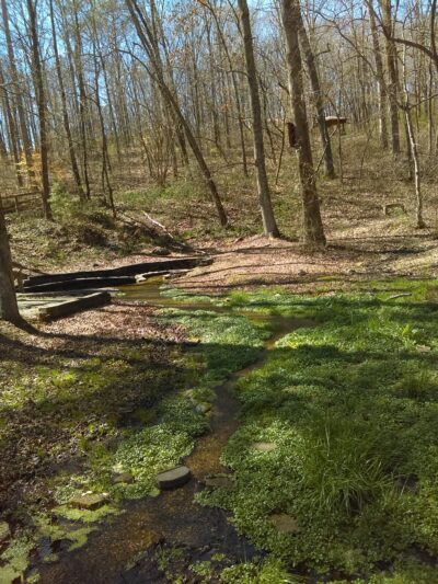 Varnell Park - Cohutta, GA