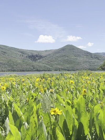 Vega State Park - Collbran, CO
