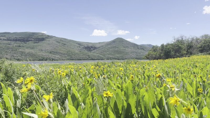 Vega State Park - Collbran, CO