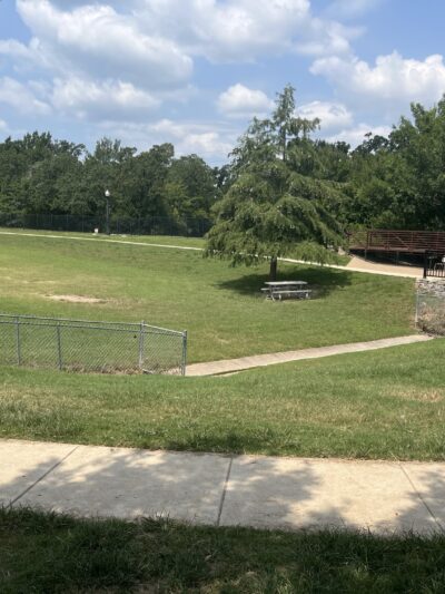 Steeplechase Dog Park - College Station, TX
