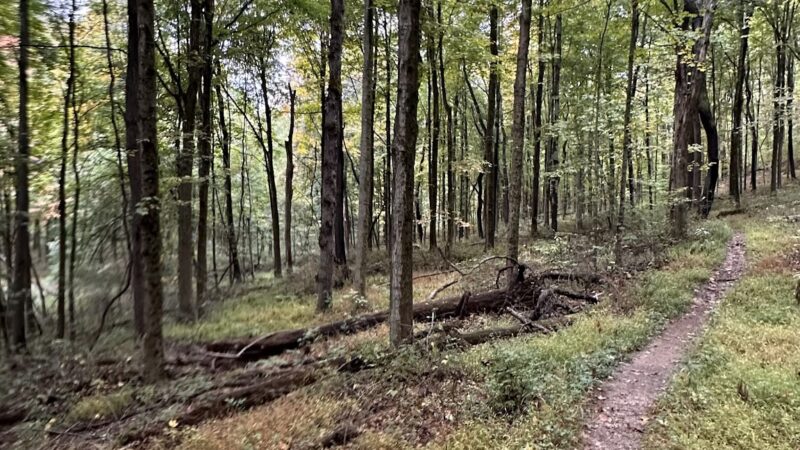 Panhandle Connector Trail Trailhead - Collier Township, PA
