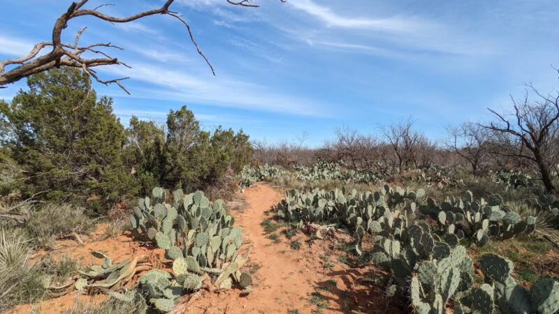 Lake Colorado City State Park - Colorado City, TX