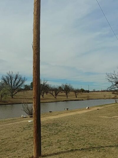Ruddick Park - Colorado City, TX