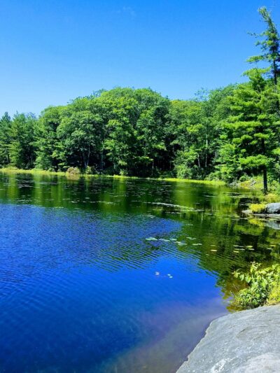 Catamount State Forest - Colrain, MA