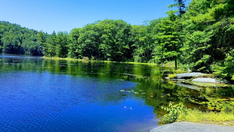 Catamount State Forest - Colrain, MA
