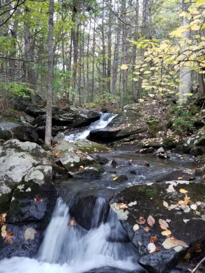 Catamount State Forest - Colrain, MA