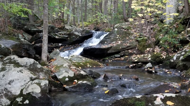 Catamount State Forest - Colrain, MA