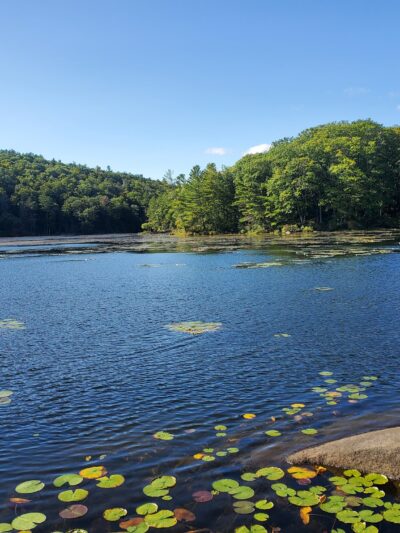 Catamount State Forest - Colrain, MA