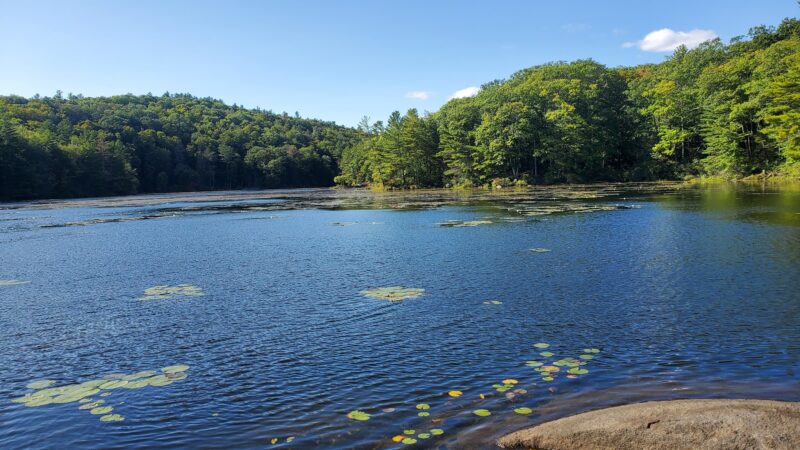 Catamount State Forest - Colrain, MA