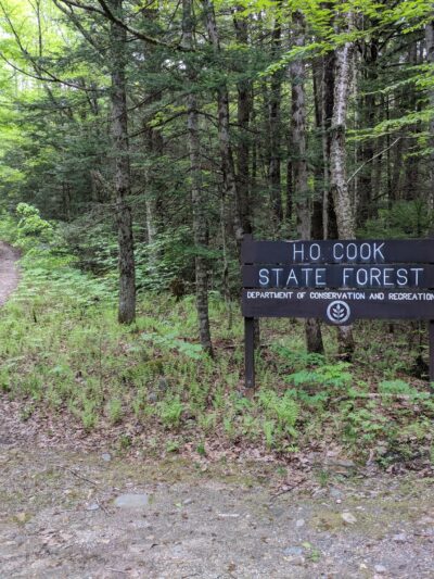 H.O. Cook State Forest - Colrain, MA
