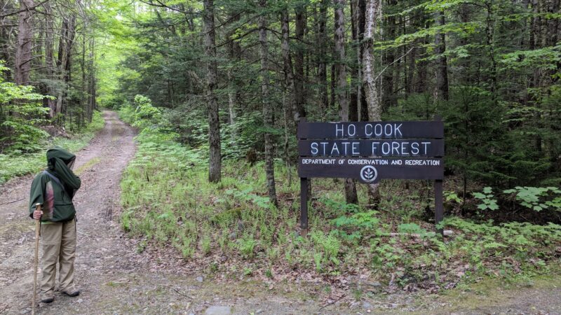 H.O. Cook State Forest - Colrain, MA