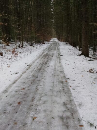 H.O. Cook State Forest - Colrain, MA