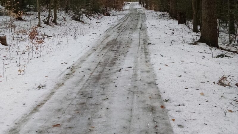 H.O. Cook State Forest - Colrain, MA