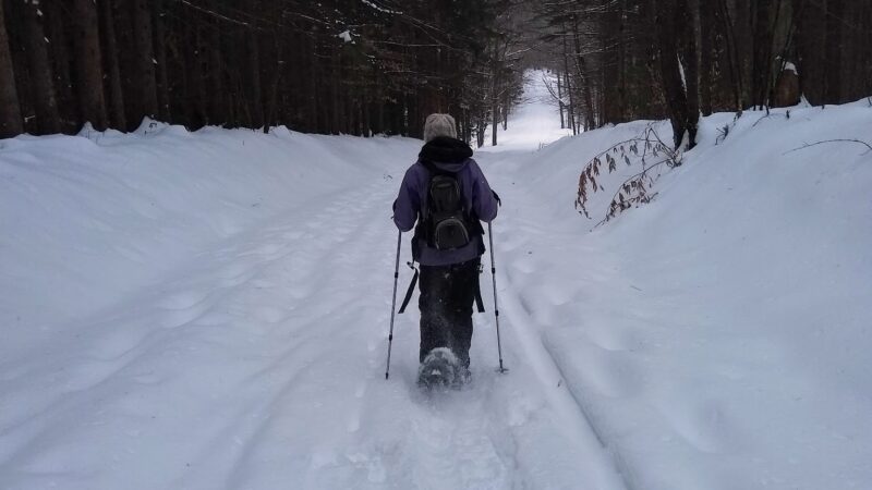 H.O. Cook State Forest - Colrain, MA