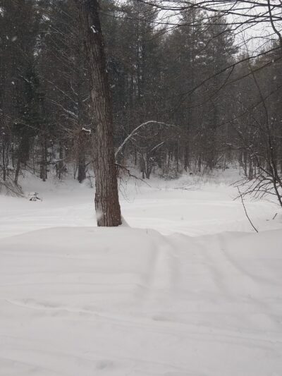 H.O. Cook State Forest - Colrain, MA