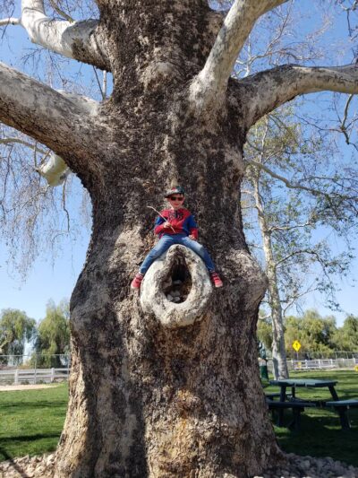 Colton K9 Memorial Dog Park - Colton, CA
