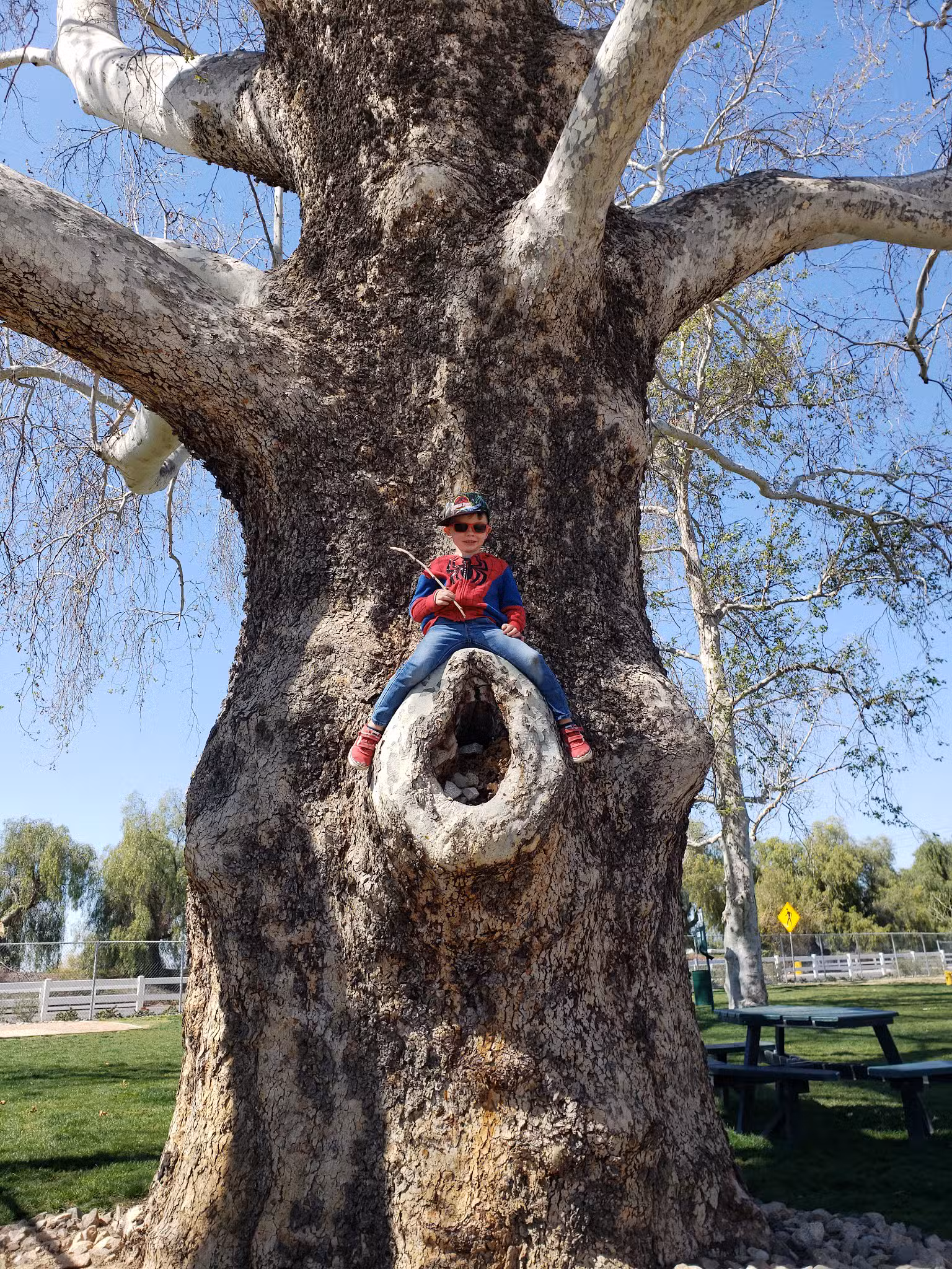 Colton K9 Memorial Dog Park - Colton, CA