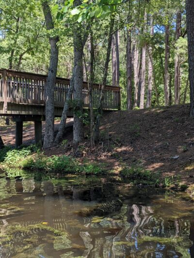 Sesquicentennial State Park - Columbia, SC