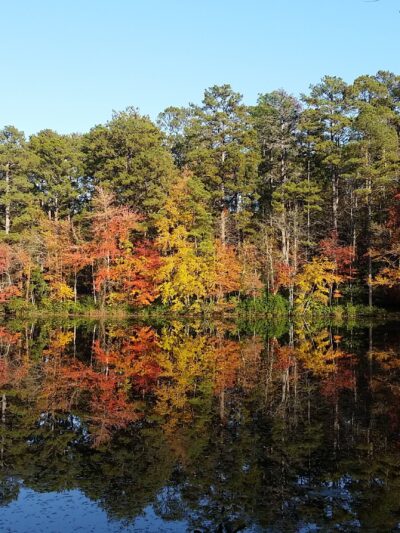 Sesquicentennial State Park - Columbia, SC