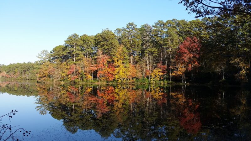 Sesquicentennial State Park - Columbia, SC