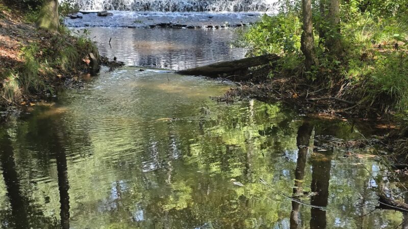 Sesquicentennial State Park - Columbia, SC