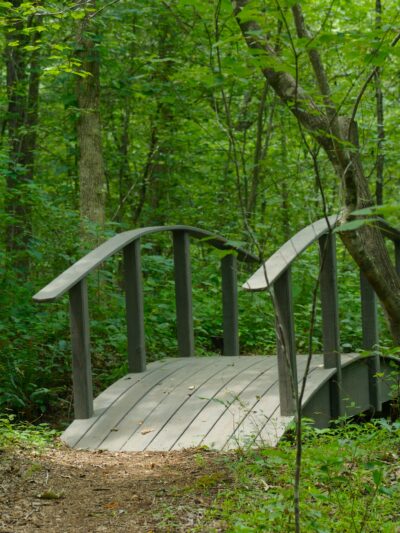 Adawehi Trail - Columbus, NC