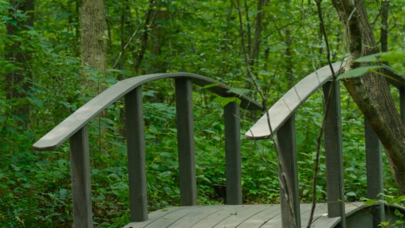 Adawehi Trail - Columbus, NC