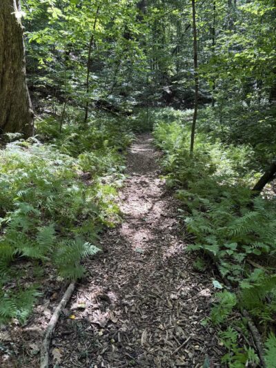 Adawehi Trail - Columbus, NC