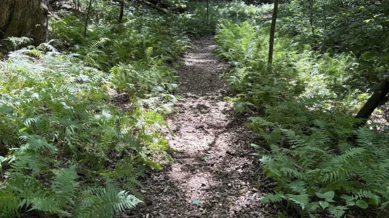 Adawehi Trail - Columbus, NC