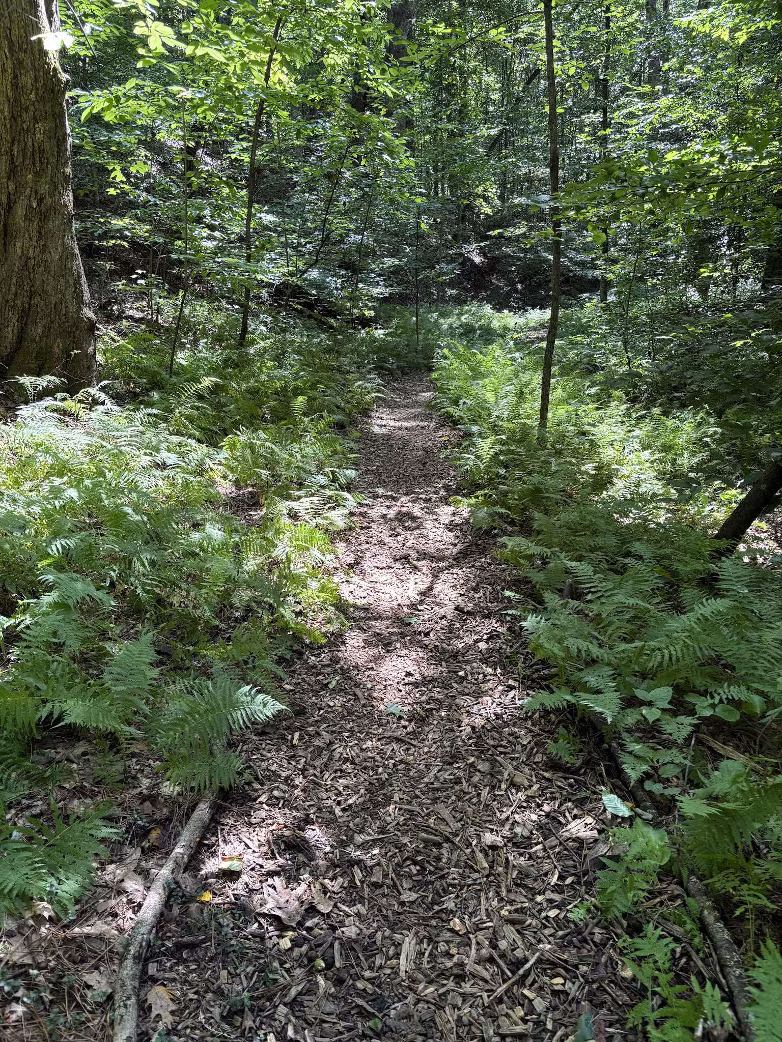 Adawehi Trail - Columbus, NC