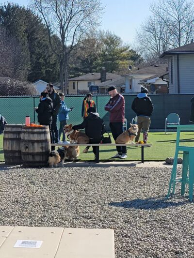 Bumble's Backyard - Columbus, OH