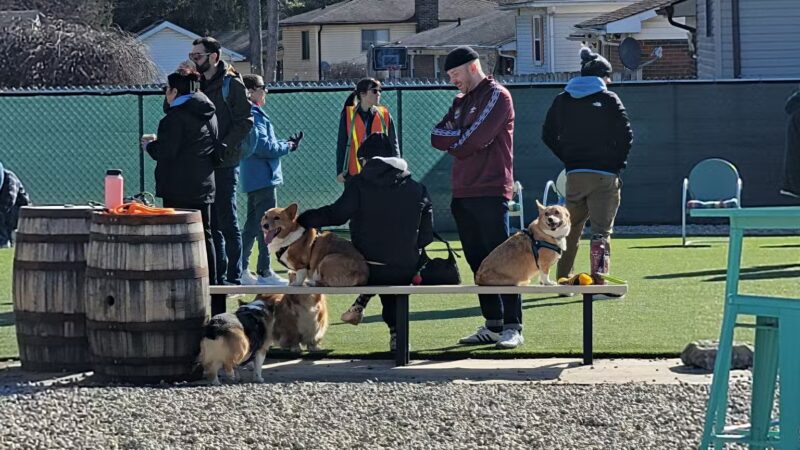 Bumble's Backyard - Columbus, OH