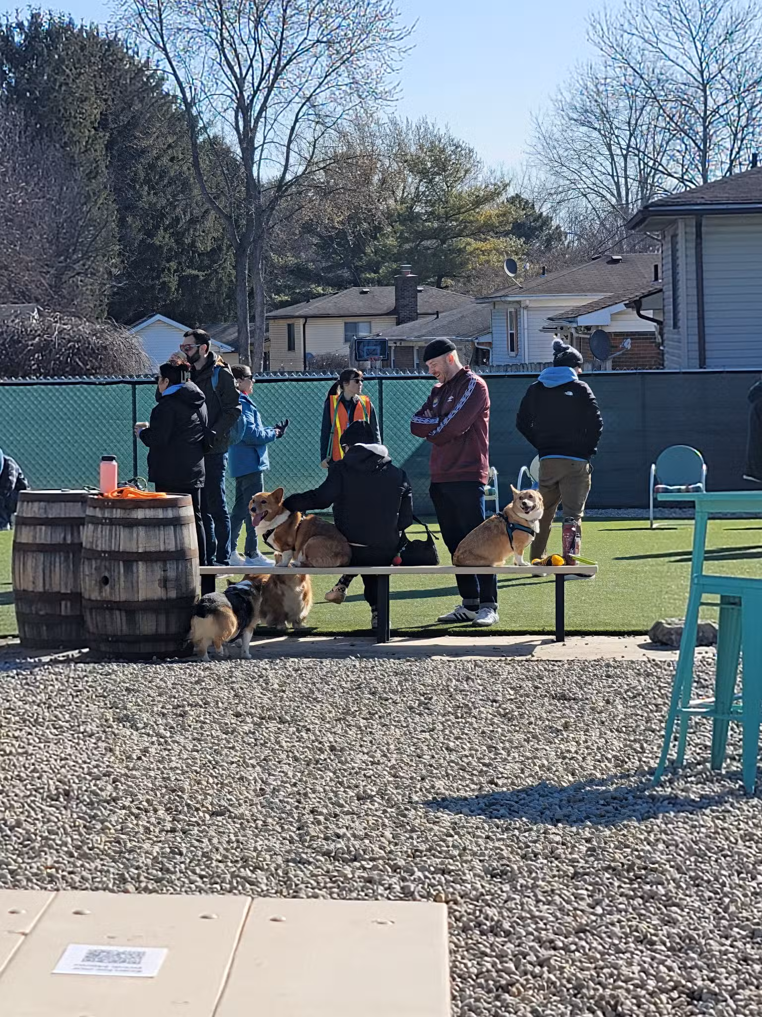 Bumble's Backyard - Columbus, OH