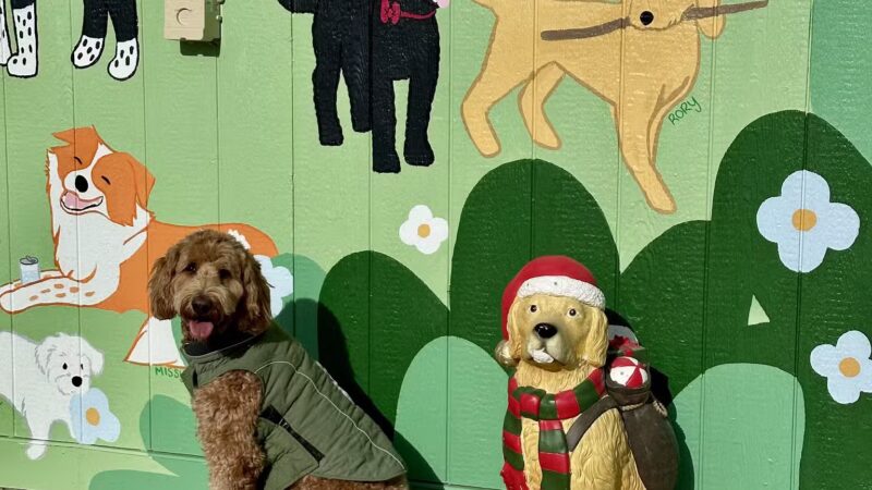 Bumble's Backyard - Columbus, OH