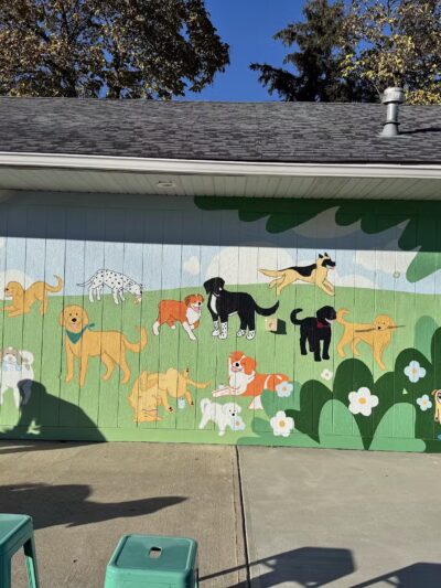 Bumble's Backyard - Columbus, OH