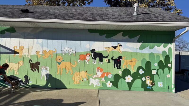 Bumble's Backyard - Columbus, OH