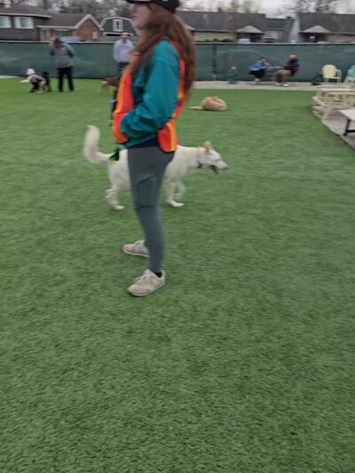 Bumble's Backyard - Columbus, OH