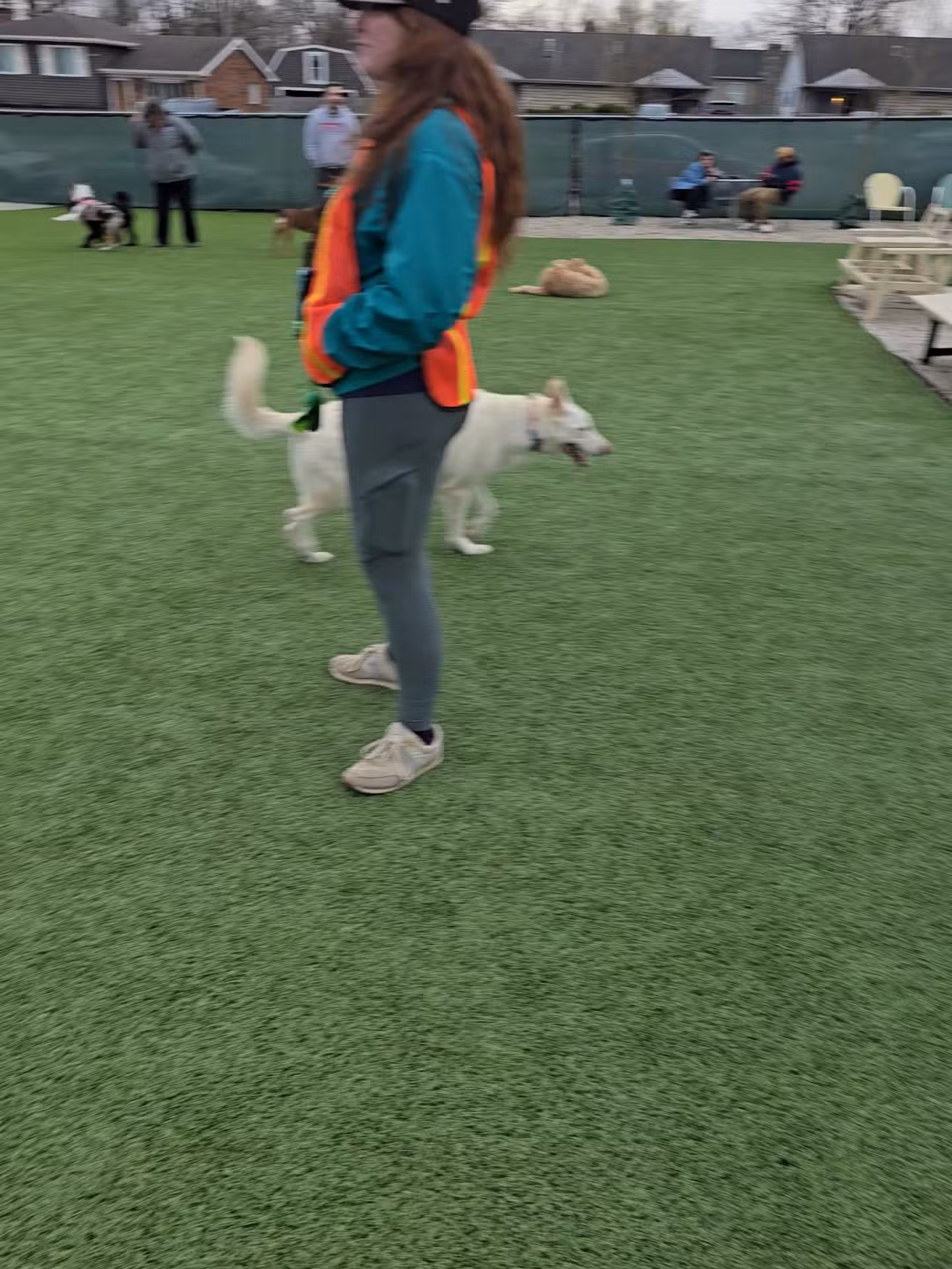 Bumble's Backyard - Columbus, OH