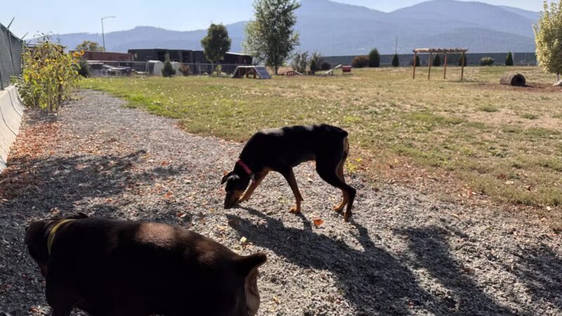Happy Tails Dog Park - Colville, WA