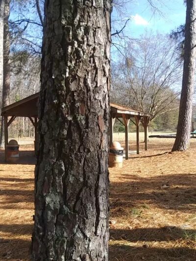 Arnold Park - Comer, GA