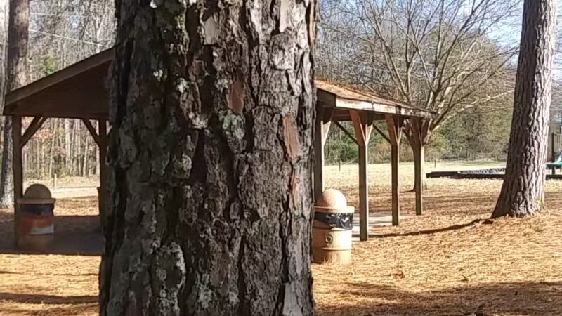 Arnold Park - Comer, GA