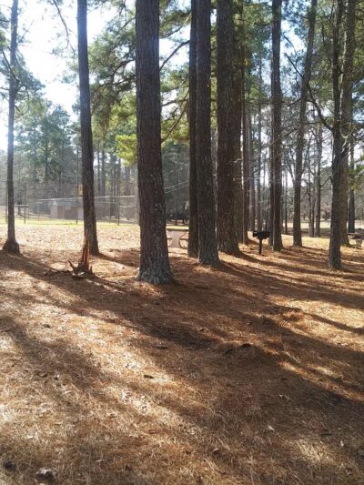 Arnold Park - Comer, GA