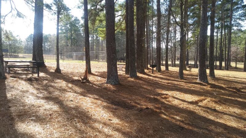 Arnold Park - Comer, GA