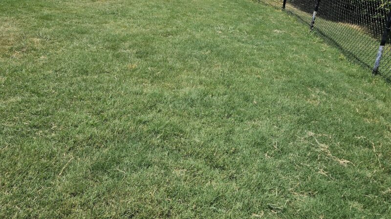 Dog Park at Love's Travel Stops - Commerce, GA