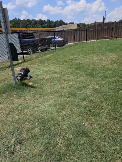 Dog Park at Love's Travel Stops - Commerce, GA