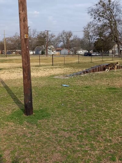 Commerce Dog Park - Commerce, TX