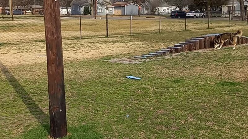 Commerce Dog Park - Commerce, TX