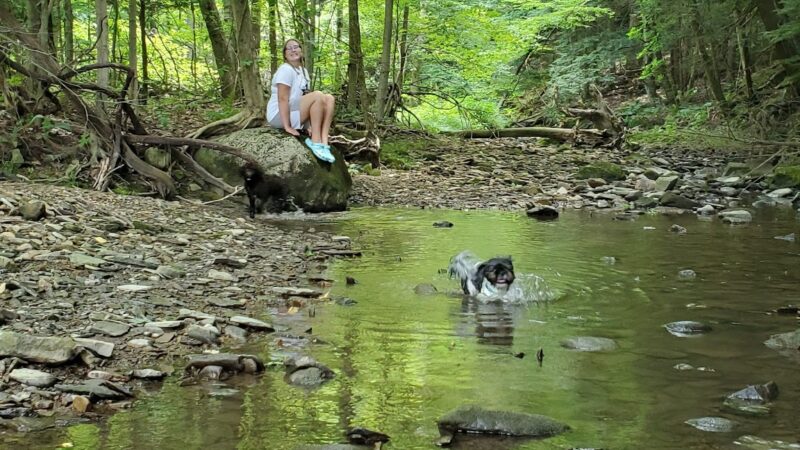 Gibson Park - Conneaut Lake, PA